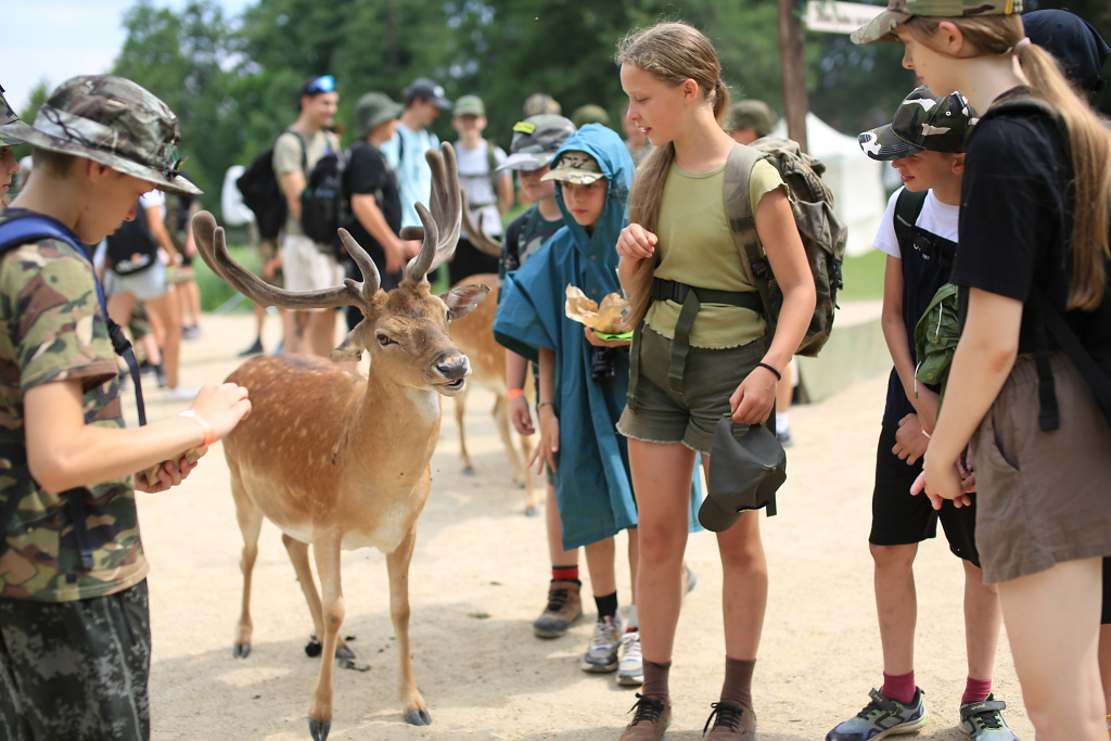 Krmení daňků z ruky v oboře Zámku Blatná