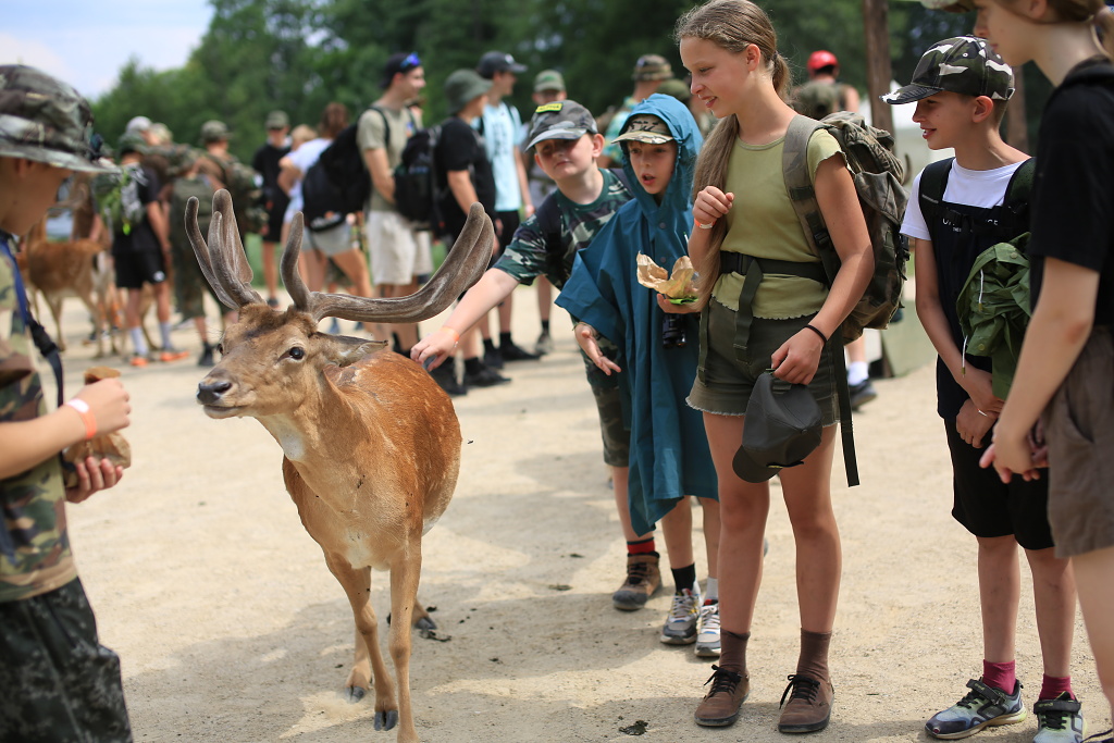 Krmení daňků z ruky v oboře Zámku Blatná