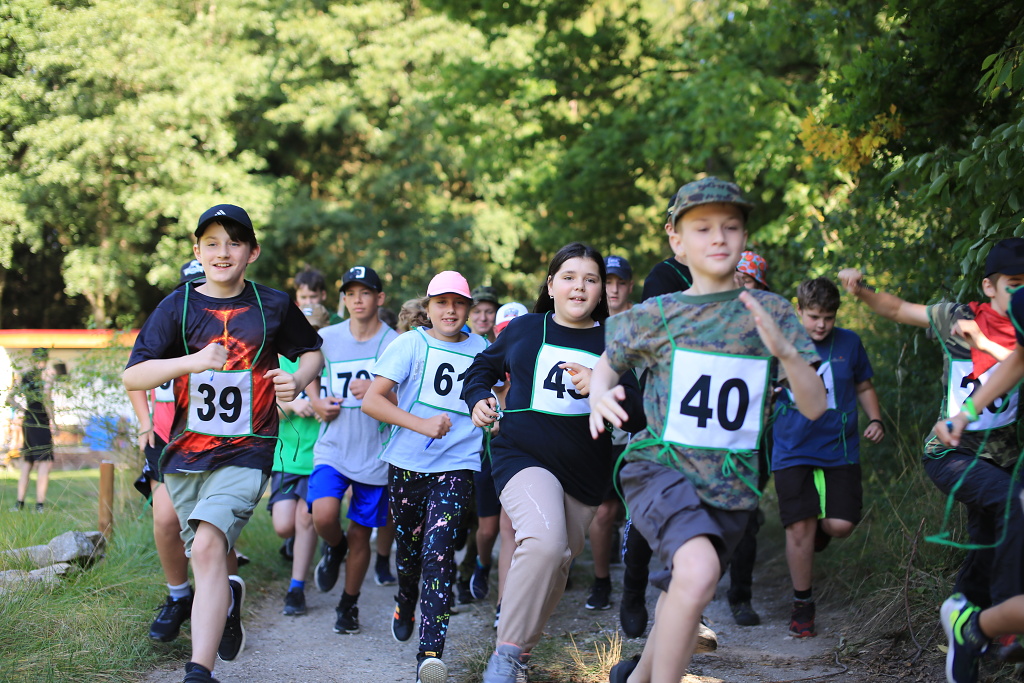 Rozřazovák IV. turnusu