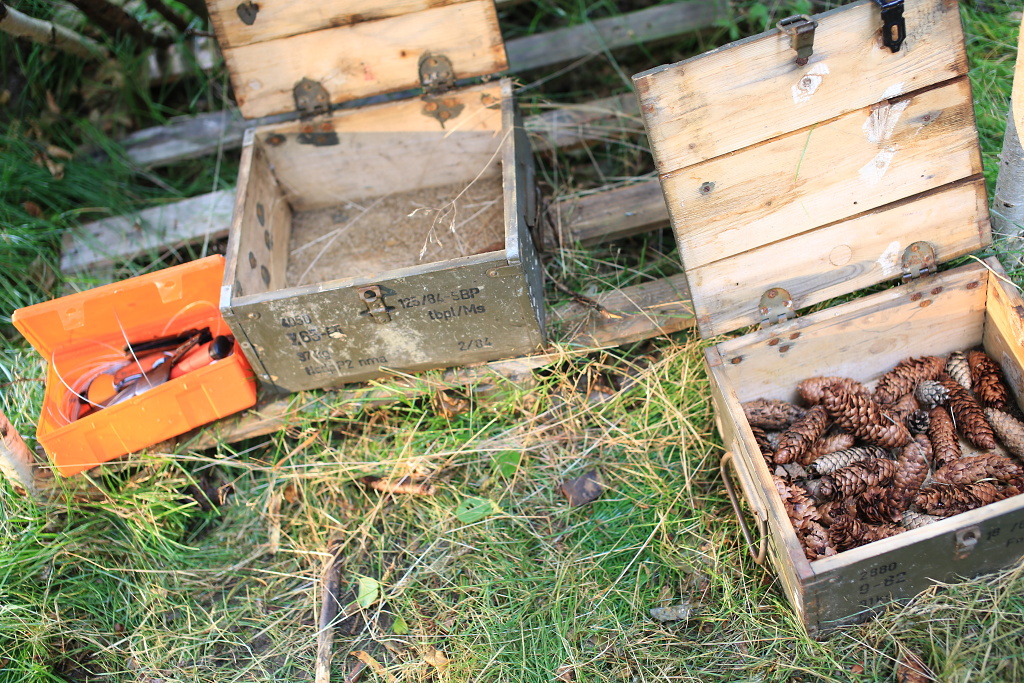 Survival Sierra a její program