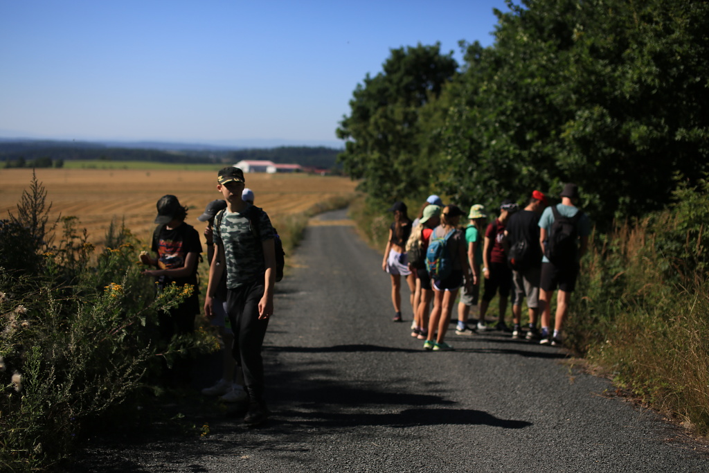 Téma dne: léčivé bylinky a rostliny z okolí