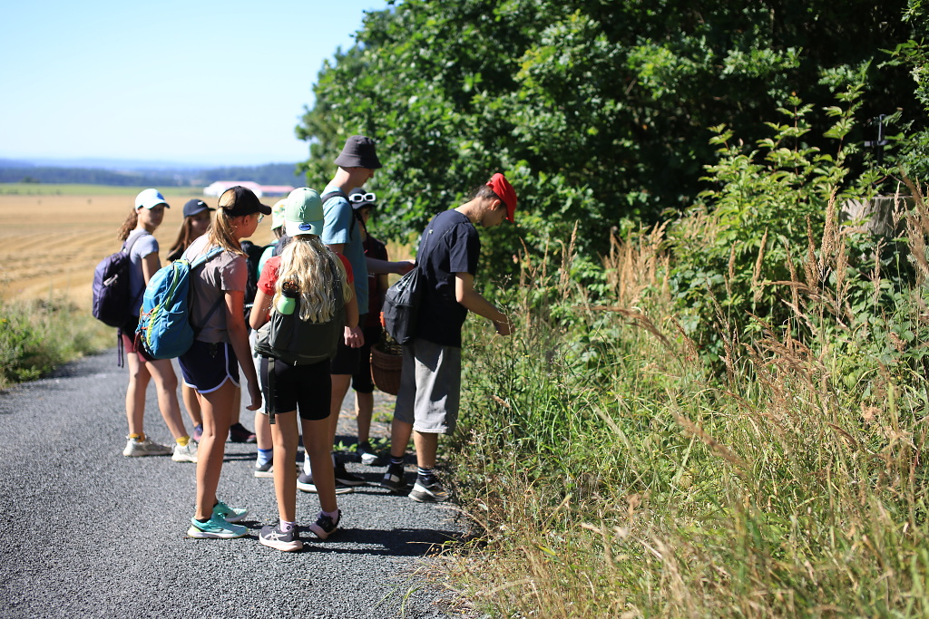 Téma dne: léčivé bylinky a rostliny z okolí